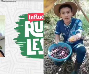 <i>El proyecto Huellas es una iniciativa impulsada por Conexión con el apoyo del Fondo Internacional de Desarrollo Agrícola - FIDA. Foto de cortesía</i>