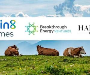 Bill Gates apuesta por startup que busca reducir el metano que emiten los gases de las vacas