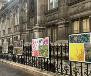 Naturaleza de Costa Rica deslumbra en las calles de París