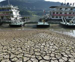 China advierte sobre una ‘grave’ amenaza a la cosecha por la ola de calor récord