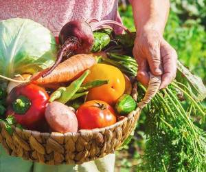 Programa Mundial de Alimentos aprueba US$129.2 millones para El Salvador