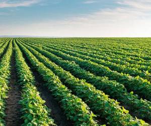 <i>FOTO ARCHIVO E&amp;N</i>