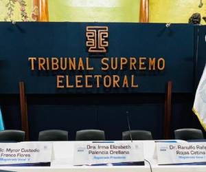 <i>'Trabajamos tanto por darle a los ciudadanos elecciones transparentes, eficientes, libres y dignas, esto nos empaña todo el ejercicio democrático', expresó la magistrada presidente del TSE Guatemala, Irma Elizabeth Palencia Orellana. FOTO TSE. </i>