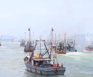 Panamá conforma comisión para evaluación de la UE sobre lucha contra la pesca ilegal