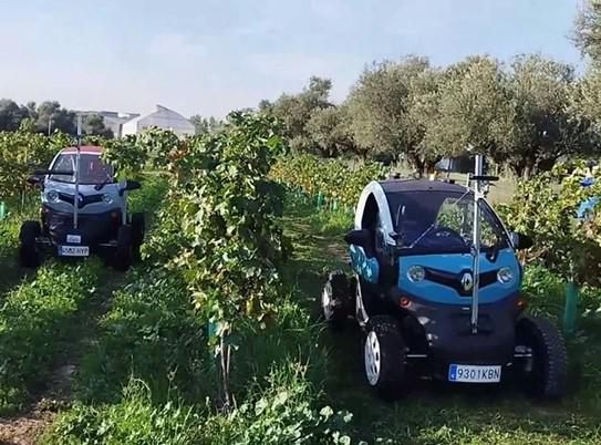 Detectar plagas y problemas de riego o aplicar tratamientos fitosanitarios selectivos, algunas de las tareas que los robots y vehículos autónomos pueden asumir para que la agricultura sea más tecnológica y rentable. EFE/ Centro De Automática Y Robótica (CAR), Centro Mixto Del CSIC Y La Universidad Politécnica De Madrid