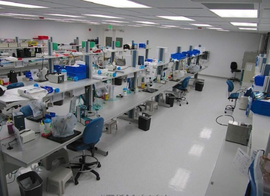 Empresa de dispositivos médicos despide a más de 100 en Costa Rica