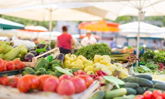 Rueda de negocios del IICA logró US$25,5 millones en mercado agroalimentario