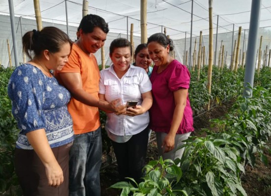 El Salvador: Telefónica y FAO lanzan el programa Smart Agro