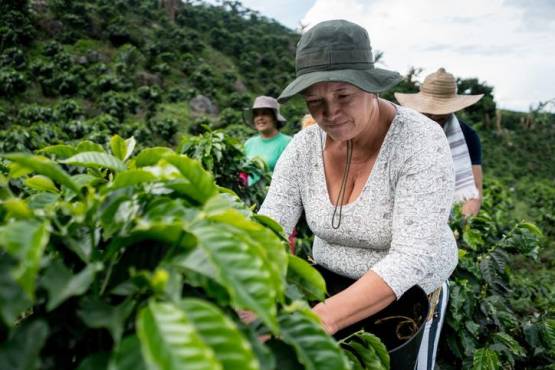 FAO: Igualdad en sistemas agroalimentarios acabaría con la inseguridad alimentaria de 45 millones