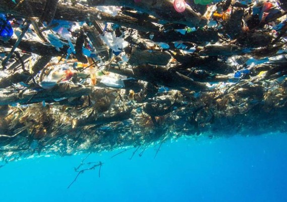 Isla de basura acecha a Roatán