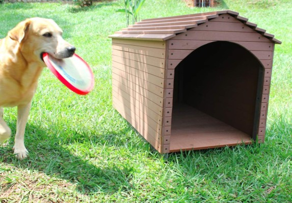 Cómo hacer muebles de la basura agroindustrial