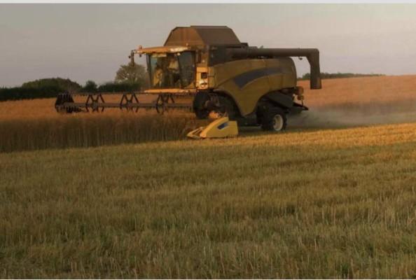 SAP ayuda a potenciar el rendimiento agrícola para satisfacer la demanda de alimentos del futuro