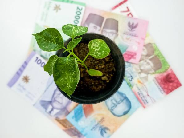 “Sin métricas confiables, la biodiversidad no es financiable: el desafío no es protegerla, sino aprender a medir su valor real.”, afirma el autor de este análisis. (Foto: Shutterstock)