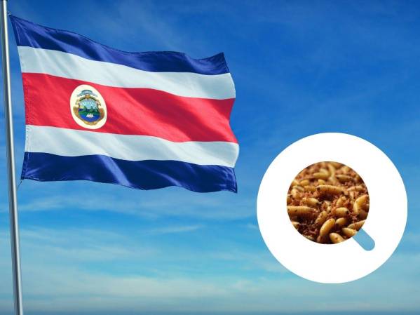 <i>Desde el 7 de febrero del 2024 el Gobierno de Costa Rica declaró emergencia sanitaria por la detección, en ese momento, de más de 200 casos del gusano barrenador en el ganado, caballos, cerdos, ovejas y perros. FOTO CONCEPTO E&amp;N</i>