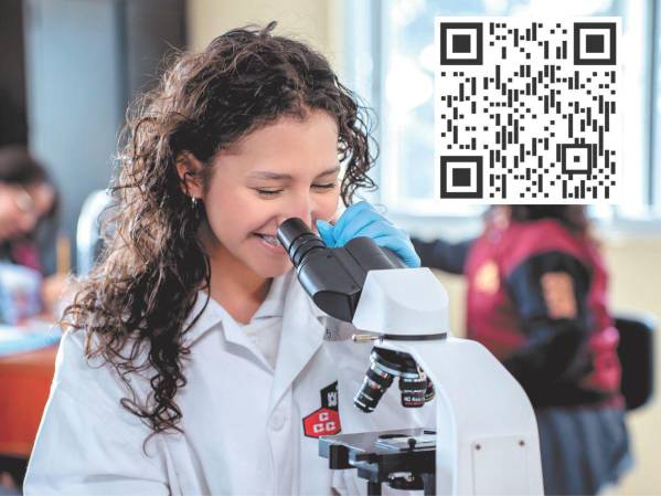 Castillo Hermanos: 140 años en la mente del consumidor