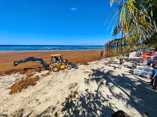 <i>Las autoridades locales estiman que los trabajos de limpieza, ejecutados mediante una alianza público-privada, se prolongarán entre tres y cuatro días más antes de que la playa sea rehabilitada al público. Foto de cortesía</i>