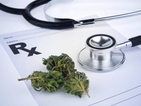 <i>Las autoridades detallaron que el uso del cannabis tiene un potencial terapéutico para diversas patologías y la industria relacionada con su producción está en crecimiento tanto a nivel nacional como internacional.</i>