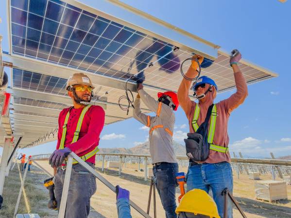<i>La planta cuenta con 124,432 paneles solares bifaciales de 585 vatios, capaces de captar radiación solar tanto en su cara frontal como posterior. Foto de cortesía</i>