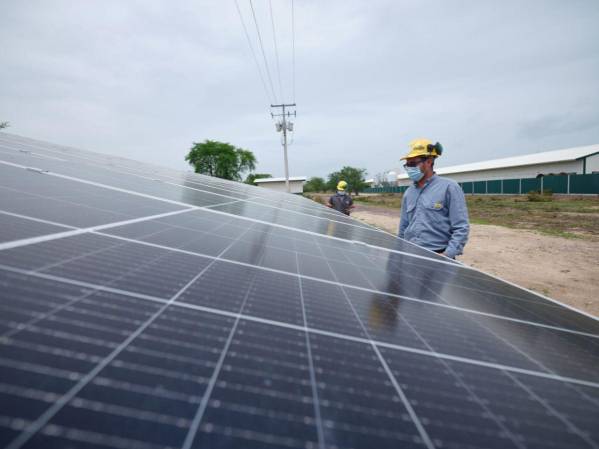 Sostenibilidad transversal: El modelo de Cargill para cadenas de suministro seguras en Centroamérica