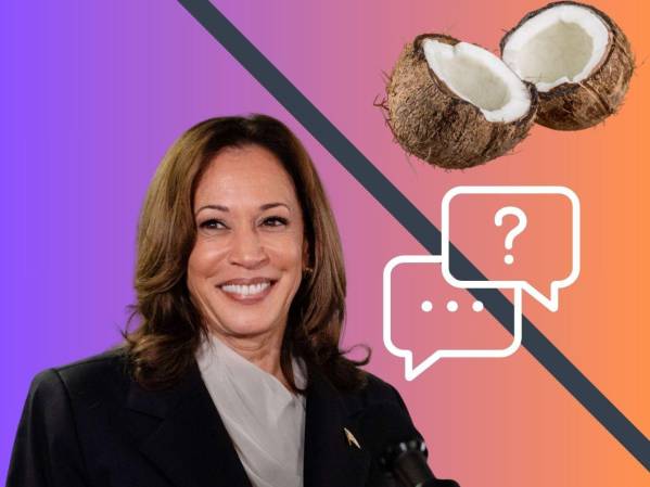 <i>Mi madre a veces era un poco estricta con nosotros y decía: 'No sé qué les pasa a los jóvenes. ¿Creen que se acaban de caer de un cocotero?, dijo en una ocasión Kamala Harris. FOTO E&amp;N</i>