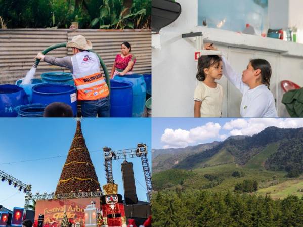Castillo Hermanos: Construye el futuro hoy