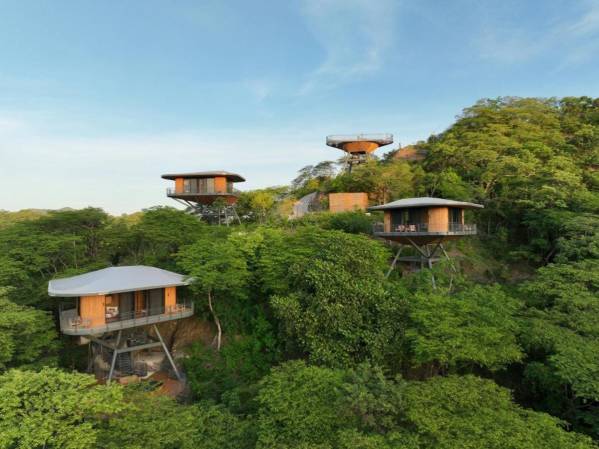 Entre árboles y líneas puras: el lenguaje arquitectónico de Suitree en Guanacaste
