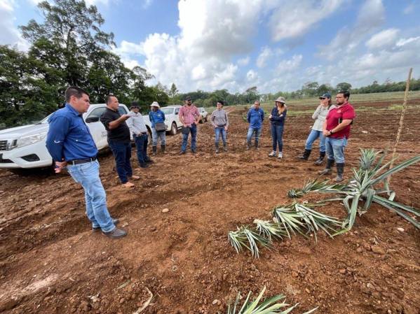 Yara ofrece soluciones nutricionales amigables con el medio ambiente y que minimizan los impactos ambientales de una forma rentable. Foto: E&amp;N