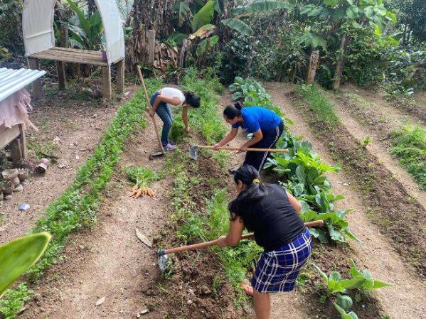 <i>El plan busca impulsar inversiones que generen resultados sostenibles para Honduras y convertir los recursos destinados al sector agroalimentario en una herramienta para transformar las condiciones de las familias rurales. Foto de cortesía</i>