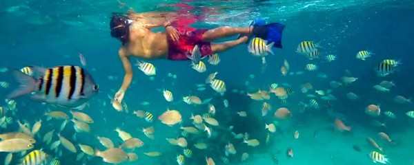 Belice declara moratoria petrolera para resguardar arrecife de coral