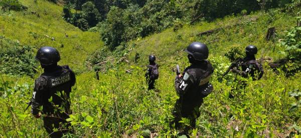 Honduras detectó casi 2 millones de plantas de coca en primer trimestre de 2023