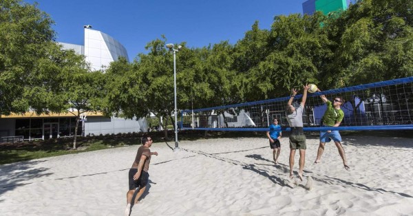 Cuatro empresas donde los millennials sueñan trabajar