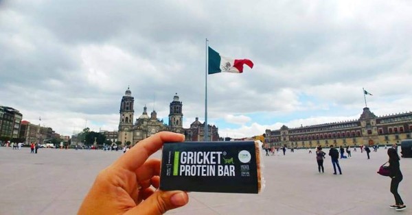 Gricket House: Una merienda de grillos desde Costa Rica