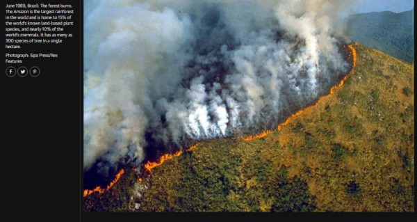 ¿Cuáles fotos son reales y cuáles no de los incendios en la selva amazónica?