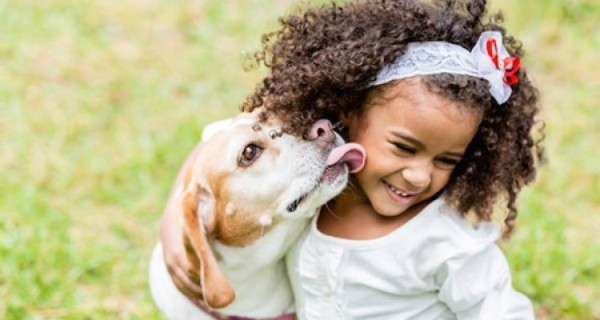 'Apps' que debes tener si tienes una mascota