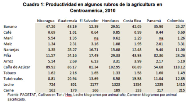 Estrategia de competitividad para la agricultura en Nicaragua