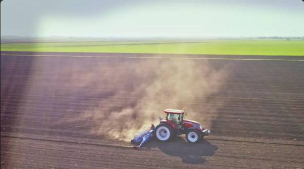 <i>Los productores necesitan grandes créditos por adelantado para comprar insumos como semillas y fertilizantes. FOTO Traive</i>