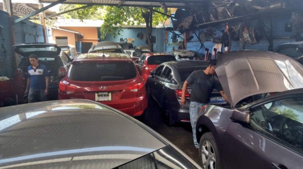 El Salvador golpea por primera vez finanzas y patrimonio de la pandilla MS13