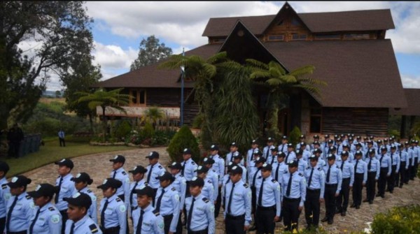 Guatemala: Vuelven a donar cosecha de aguacates de exfinca de Otto Pérez Molina