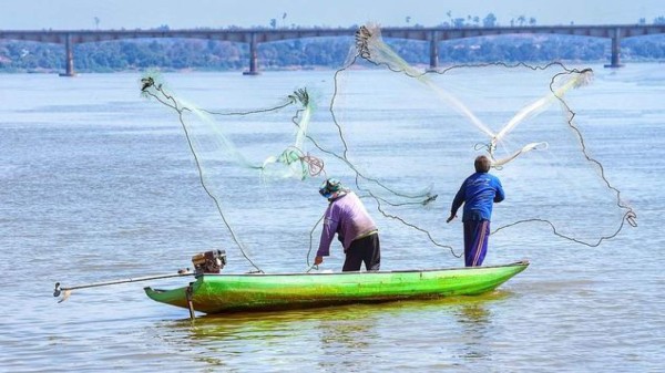 Pesca y acuicultura representan más del 20% del PIB de Centroamérica