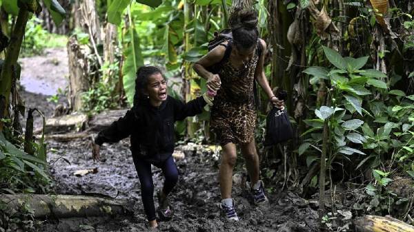 Cifra de niños migrantes que cruzaron selva de Panamá se disparó en 2024