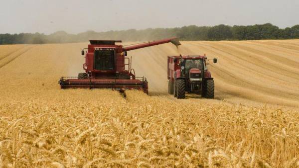Rusia suspende acuerdo de exportación de cereales ucranianos tras ataque en Crimea