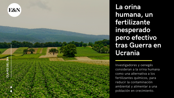 Orina humana, alternativa a fertilizantes químicos para reducir la contaminación ambiental