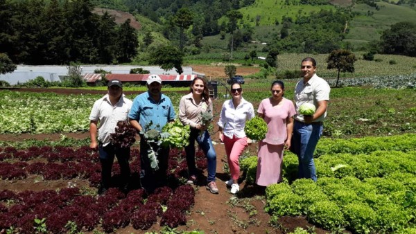Walmart le apuesta el desarrollo de proveedores locales en El Salvador