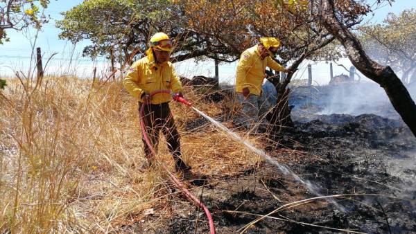 <i>Costa Rica busca prepararse ante las nuevas condiciones climáticas, como el aumento de las temperaturas y una mayor intensidad de sequías y lluvias. Foto de cortesía</i>