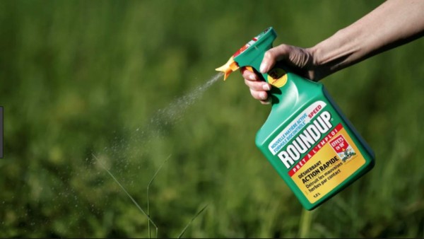 Suben a 18.400 las demandas que enfrenta Bayer por el glifosato de Monsanto