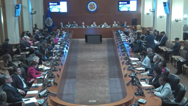 <i>El secretario general de la OEA, Albert Ramdin, ratificó el compromiso de acompañamiento y advirtió que la transparencia es el único antídoto a la captura antidemocrática de las instituciones. Foto de cortesía</i>