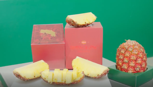 Cada piña Rubyglow tarda dos años en madurar de manera natural y se comercializa sin corona, en envases de diseño elegante. Foto de cortesía