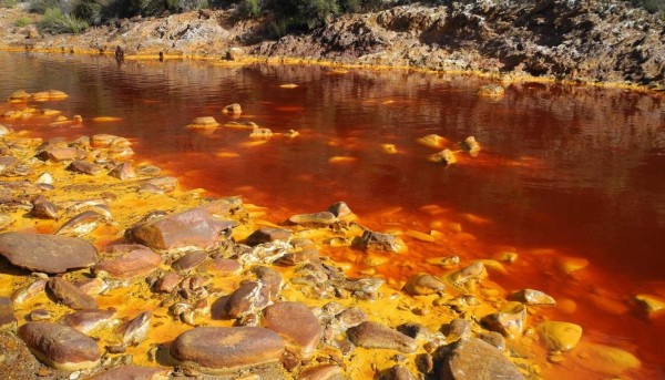 Alejandro Arce, el científico tico que busca vida en otros planetas
