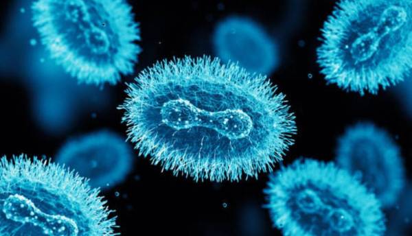 OMS mantiene su nivel de alerta máxima para el mpox