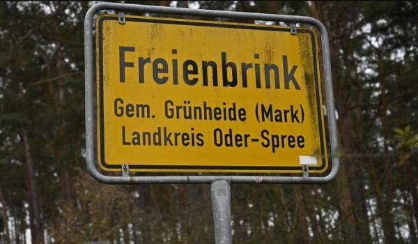 Tesla frena la construcción de la fábrica en Alemania por… hormigas